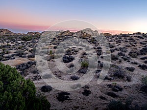 Jumbo Rocks at sunset in Joshua Tree National Park