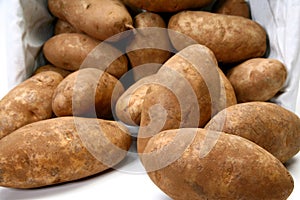 Jumbo Russet Potatoes