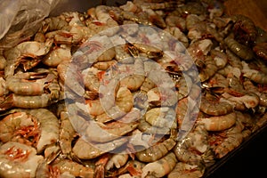 Jumbo shrimp for sale