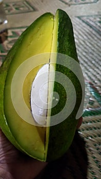 Jumbo sized buttery avocado that is ripe
