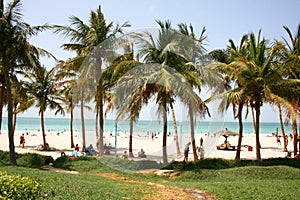 Jumeirah beach park photo