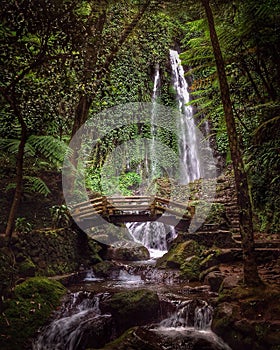 Jumog waterfall