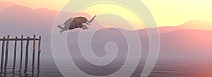 Jump elephant. Elephant jumping in lake during sunset .