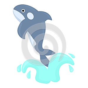 Jump killer whale icon, cartoon style