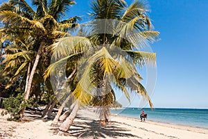 Jumper on the beach