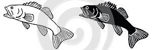 Jumping Bass Fish Drawing - Vector Clipart Illustration