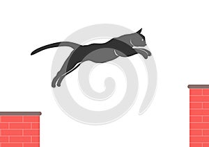 Jumping cat silhouette