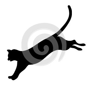 Jumping cat silhouette vector.Cat playing