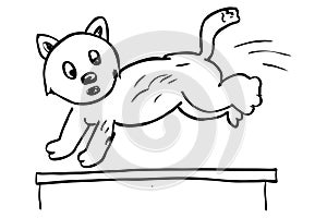 jumping cat, simple vector hand draw doodle sketch
