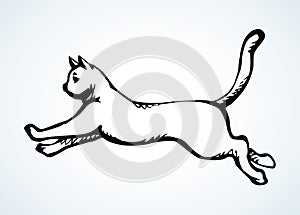 Jumping cat. Vector drawing icon