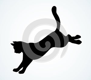 Jumping cat. Vector drawing icon