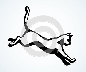 Jumping cat. Vector drawing icon