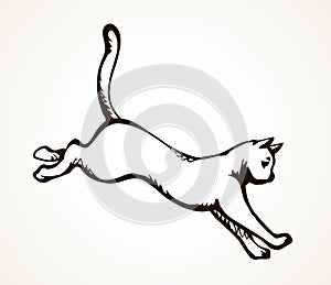 Jumping cat. Vector drawing icon