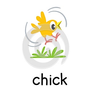Chick or chicken vector illustration. Farm animals