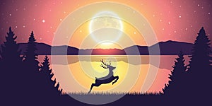 Jumping deer in the nature by the lake at moon light