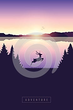 Jumping deer in the nature by lake at sunset