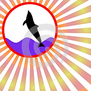 Jumping dolphin