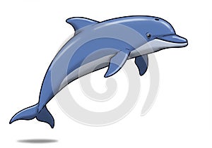 Jumping Dolphin Illustration on White Background
