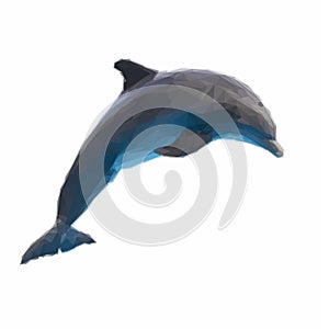 Jumping dolphin on white