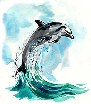 Jumping dolphine