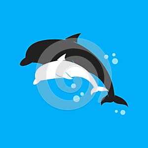 Jumping dolphins vector illustration design