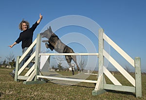 Jumping Dutch Shepherd Dog