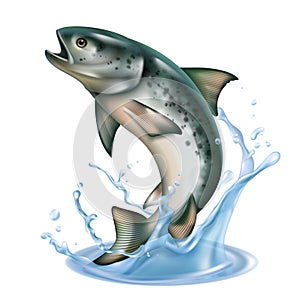 Jumping Fish Realistic Concept
