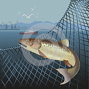 Jumping fish vector