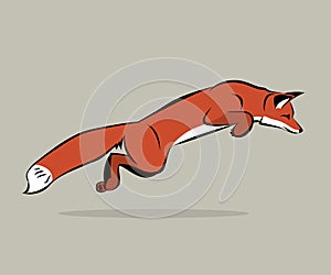 Jumping fox