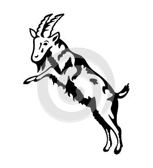Jumping Goat Sketch Silhouette