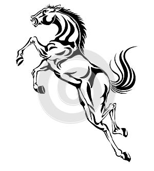 Jumping horse,black white picture