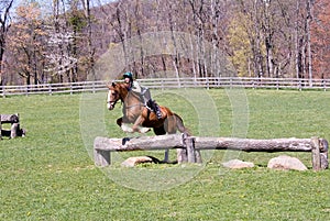 Jumping horse in field