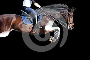 Jumping horse isolated on black background