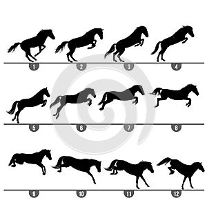 Jumping horse phases