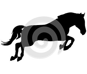 Jumping horse, silhouette. Vector illustration