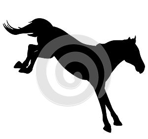 Jumping horse, silhouette. Vector illustration