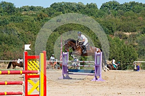 Jumping qualifier. Horse racing.