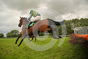 Jumping race horse
