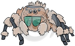 Jumping spider insect character cartoon illustration