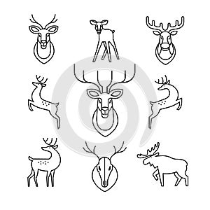 Jumping and standing deers, moose, antlers