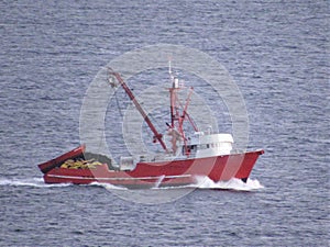 SARDINE FISHING BOAT JUMPING WAVES photo