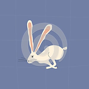 Jumping white rabbit with long ears. Cute bunny isolated. Running hare on a blue background.