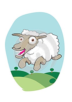 Jumpy sheep