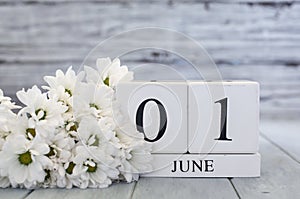 June 1st Calendar Blocks with White Daisies