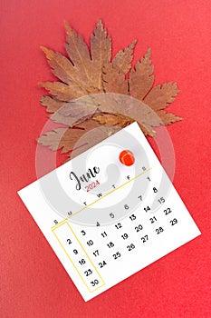 June 2024 calendar page and autumn maple leaf with thumbtack