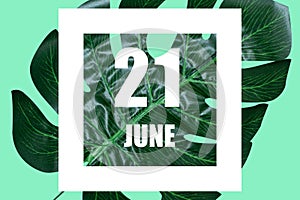 june 21st. Day 20 of month,Date text in white frame against tropical monstera leaf on green background summer month, day