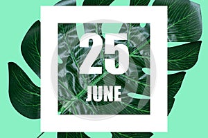 june 25th. Day 25 of month,Date text in white frame against tropical monstera leaf on green background summer month, day