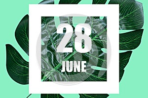 june 28th. Day 28 of month,Date text in white frame against tropical monstera leaf on green background summer month, day