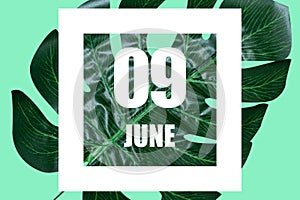 june 9th. Day 9 of month,Date text in white frame against tropical monstera leaf on green background summer month, day