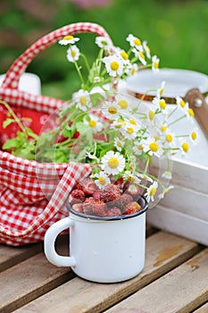 june or july garden scene with fresh picked organic wild strawberry